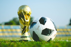 2026世界杯48队-费德勒连续三赛季称王，瑞士球迷沸腾欢呼